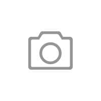 Wheel balancer Giuliano P52